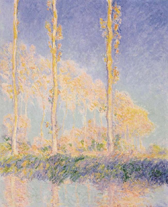 Claude Monet Three Poplars,Autumn Effect France oil painting art